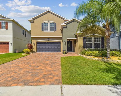 19352 Paddock View Drive, Tampa