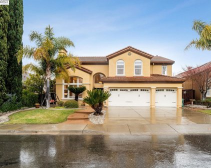 608 Sunflower Ct, San Ramon