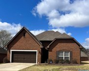 14403 Birkdale Circle, Athens image