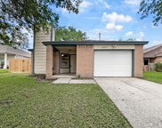 13027 Bamboo Forest Trail, Houston image