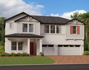 22118 Nebula Way, Land O' Lakes image