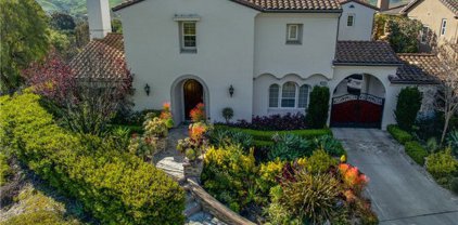 27462 Calle De La Rosa, San Juan Capistrano