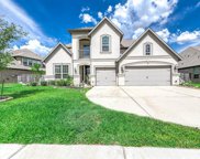 20326 Mercer Grove Drive, Cypress image