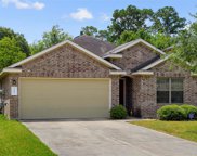 2102 Naplechase Crest Drive, Spring image