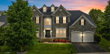 43211 Amberleigh Farm Dr, Ashburn