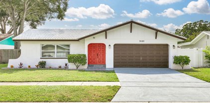 7680 Dover Court, St Petersburg