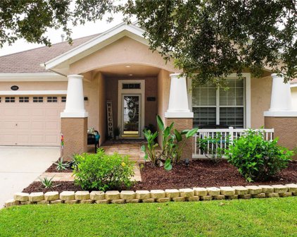 5006 Mirror Ridge Court, Lutz