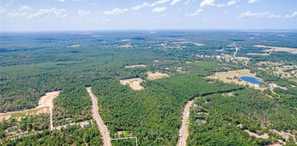 15577 Republic Park Trail, Willis