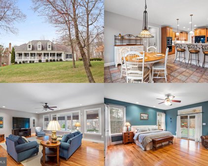 2126 Percheron Dr, King George