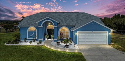 9937 Wallaston Drive, Dade City