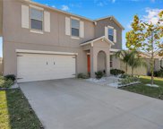 10520 Strawberry Tetra Drive, Riverview image