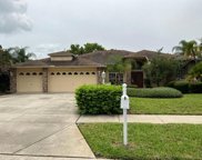 1339 Fallowfield Drive, Trinity image