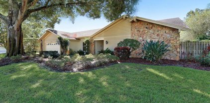 2693 Beaumont Court, Clearwater