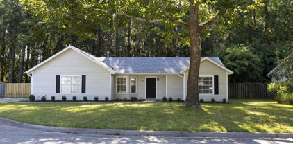 6319 Nw 41st Drive, Gainesville