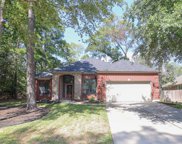 3302 Pine Chase Drive, Montgomery image
