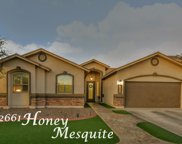12661 Honey Mesquite, El Paso image