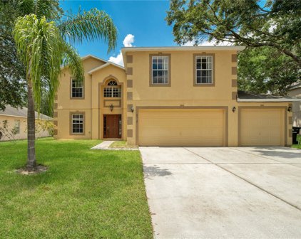 2142 El Marra Drive, Ocoee