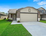 10323 Goldspur Court, San Antonio image