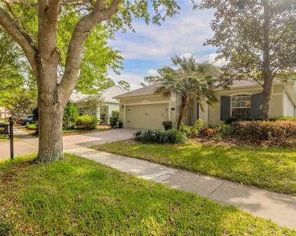 419 Victoria Hills Drive, Deland