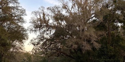 17617 Sw 11 Court, Newberry