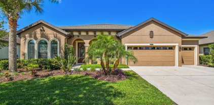 8427 Swiss Chard Circle, Land O' Lakes