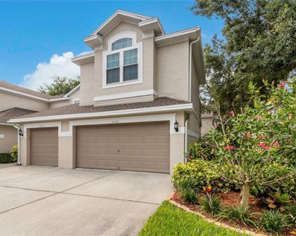 3608 Country Pointe Place, Palm Harbor