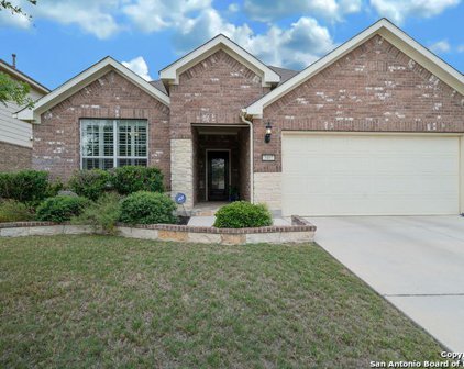 3407 Treefrog Trail, San Antonio