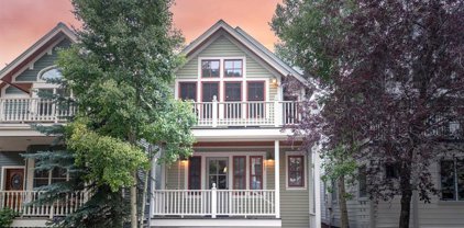 455 W Depot, Telluride