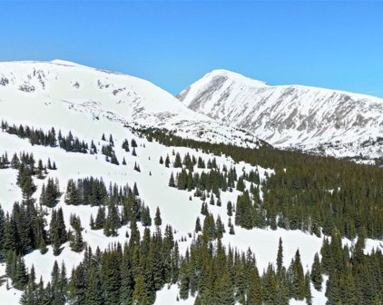 23 Camron  Lane, Breckenridge
