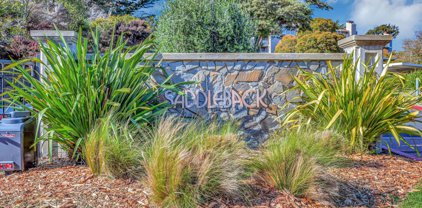 2106 Wildflower Court, Daly City