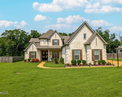 6337 Chippewa Drive, Olive Branch