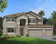 9522 Seagrass Port Pass, Wesley Chapel image