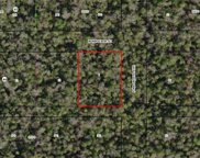 10770 W Brocade Street, Homosassa image