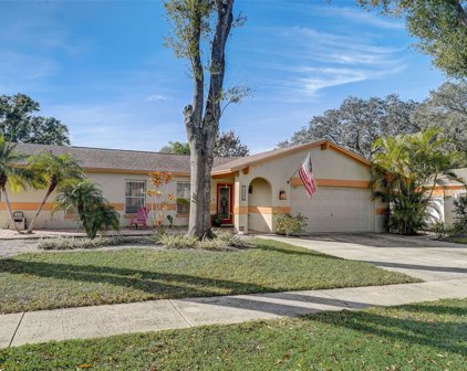 14022 Cherry Lake Drive, Tampa