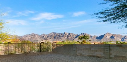 12984 N Yellow Orchid, Oro Valley