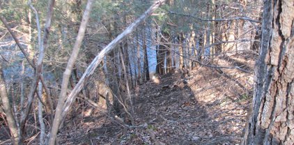 Pine Circle, Amissville