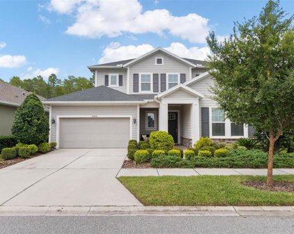 14999 Renaissance Avenue, Odessa