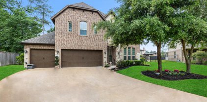 19 Cohasset Place, Tomball