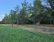 3195 E Upper River Road, Decatur image