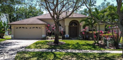 481 Village Drive, Tarpon Springs