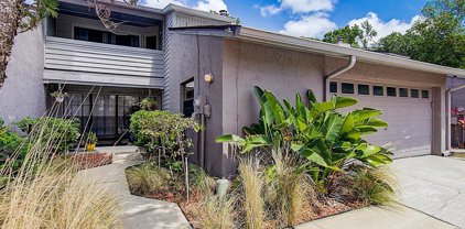 4003 Rosepointe Court, Tampa
