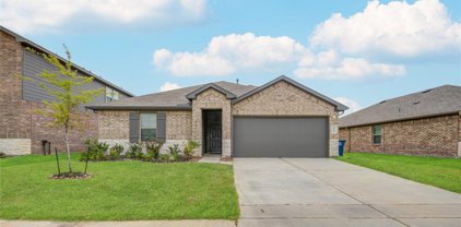 2318 Rainier Mist Road, Spring