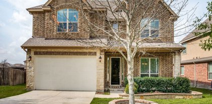 809 Alpino, Cibolo