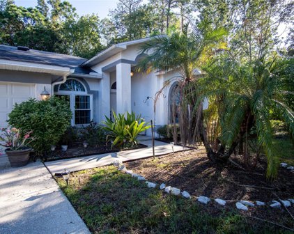 5049 Edgewater Lane, Oldsmar