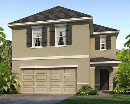 33569 Apricot Tree Court, Wesley Chapel