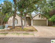 1507 Muledeer Run, Leander image