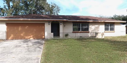 551 Garden Heights Drive, Winter Garden