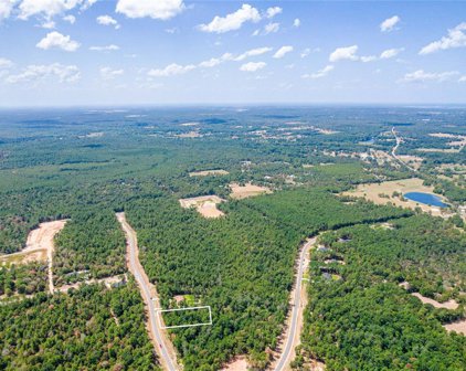15577 Republic Park Trail, Willis