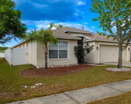 24425 Summer Nights Court, Lutz
