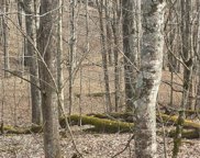 Lot 55 Carefree Cove Road, Zionville image